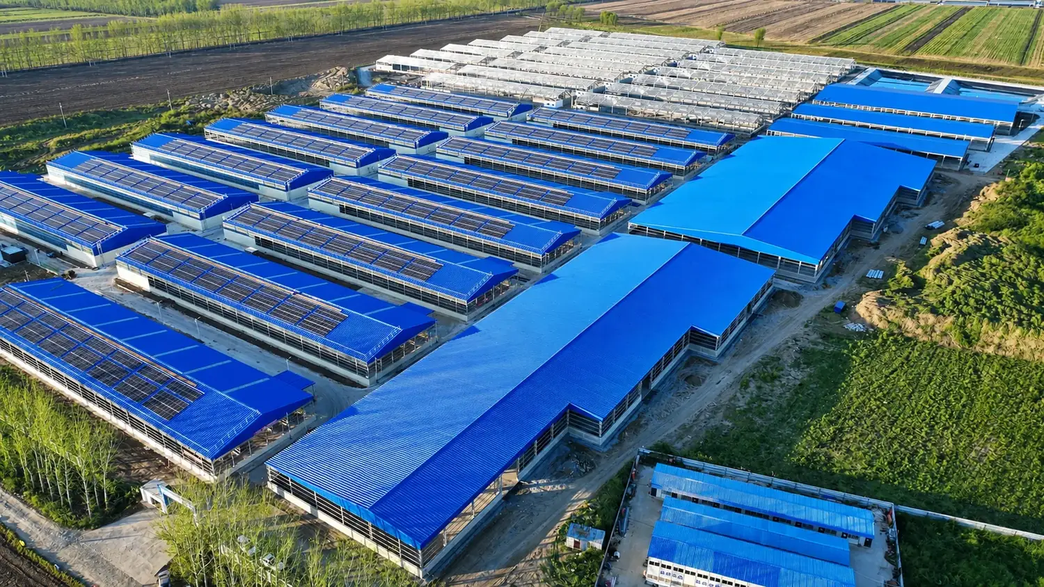Aerial view of the Muguang eco livestock base near Shenyang, portal frame buildings with rooftop solar arrays
